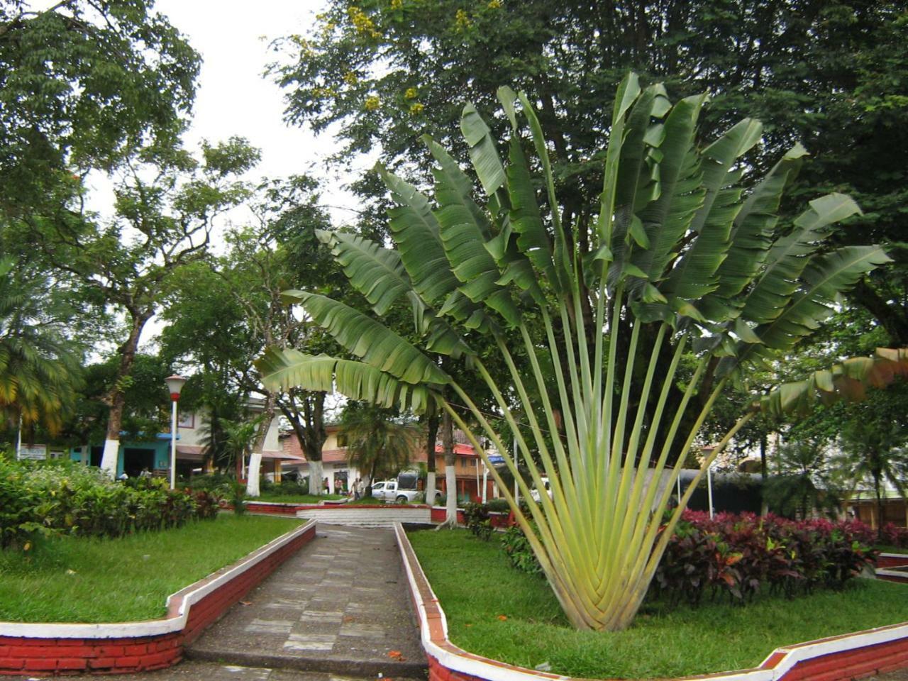 Hotel Casa Trujillo Norcasia Exterior foto